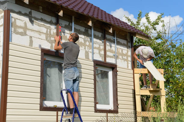 Best Stone Veneer Siding  in Hlsboro, IL