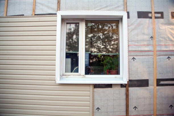 Best Vinyl Siding Installation  in Hlsboro, IL