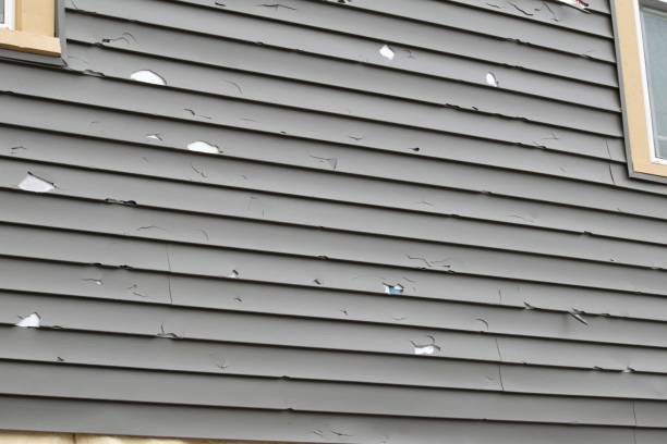 Best Siding Removal and Disposal  in Hlsboro, IL