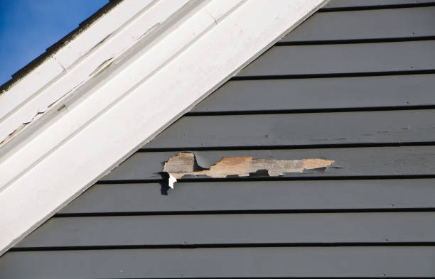 Reliable Hillsboro, IL Siding Solutions